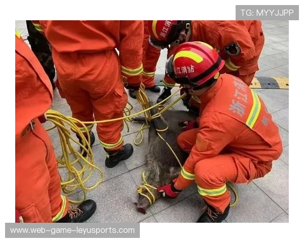 城市越野跑误入“野猪出没”路段,领跑者机智绕行仍保住第一 城市越野跑误入“野猪出没”路段,领跑者机智绕行仍保住第一